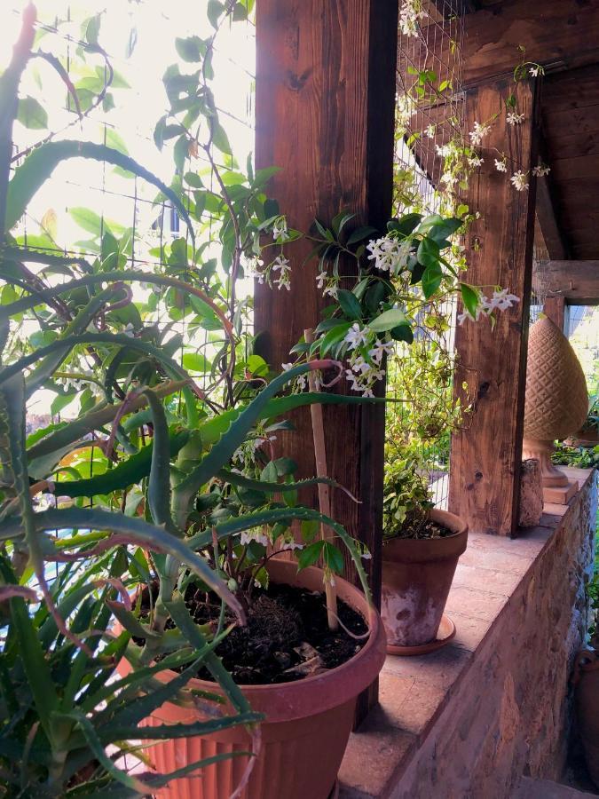 B&B La Fontana Di Pegaso Tivoli Eksteriør bilde